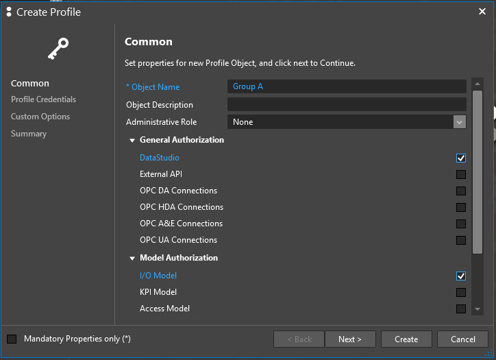 Create Profile Wizard - Common Properties